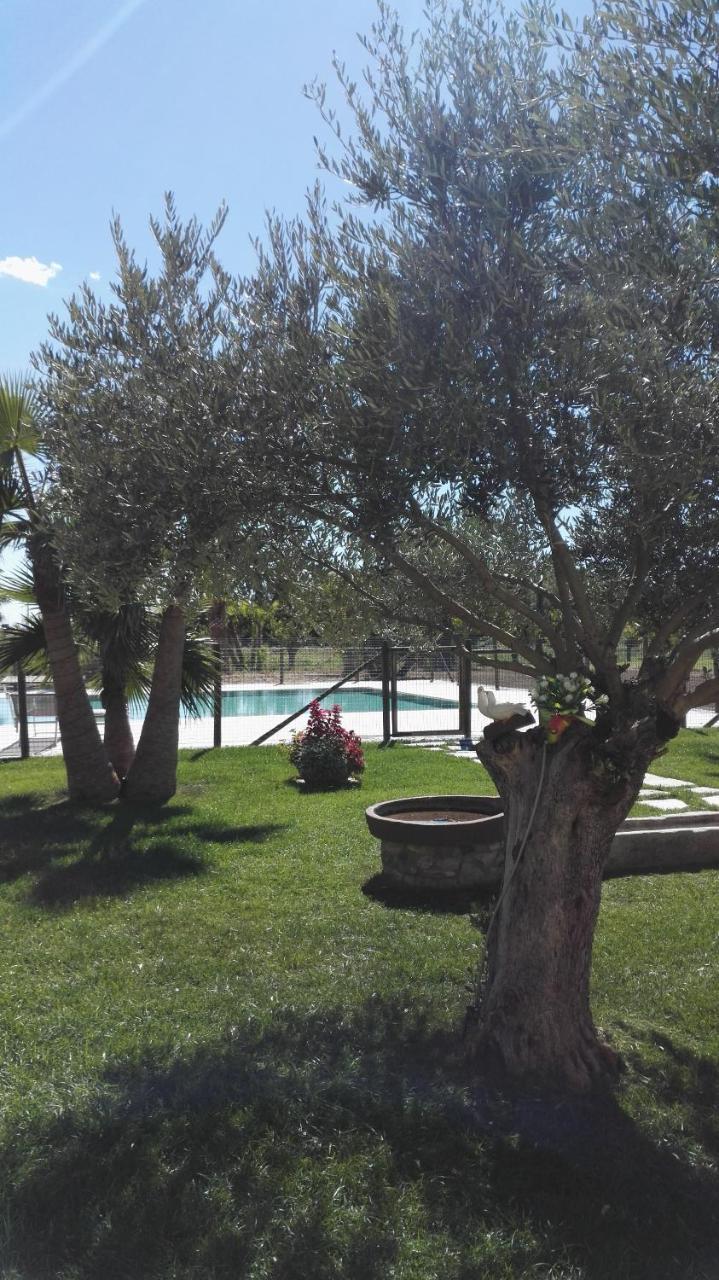 Agriturismo San Gallo Strassoldo Екстер'єр фото