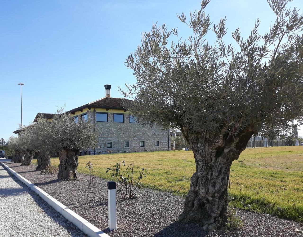 Agriturismo San Gallo Strassoldo Екстер'єр фото